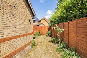Garden- click for photo gallery